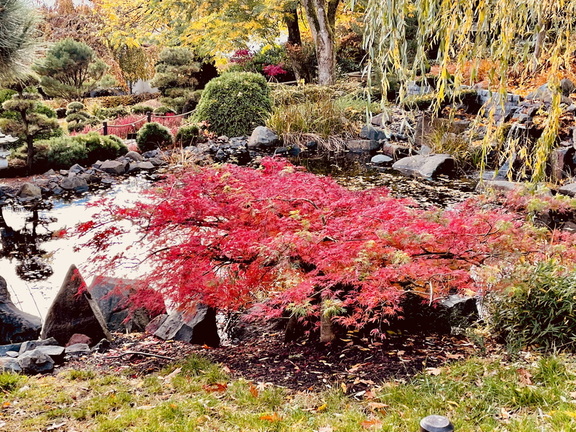 8B2442C1-7225-4288-821C-2A90CCF2F785